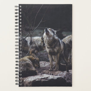 Wolf Pack Planner