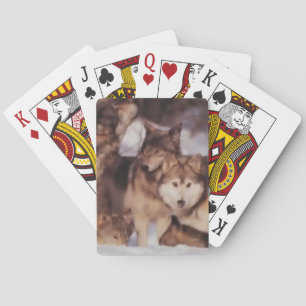 Wolf Pack Playing Cards