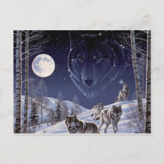 Wolf Pack Postcard