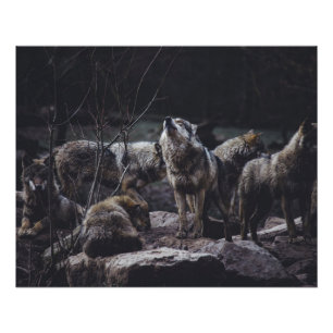 Wolf Pack Poster