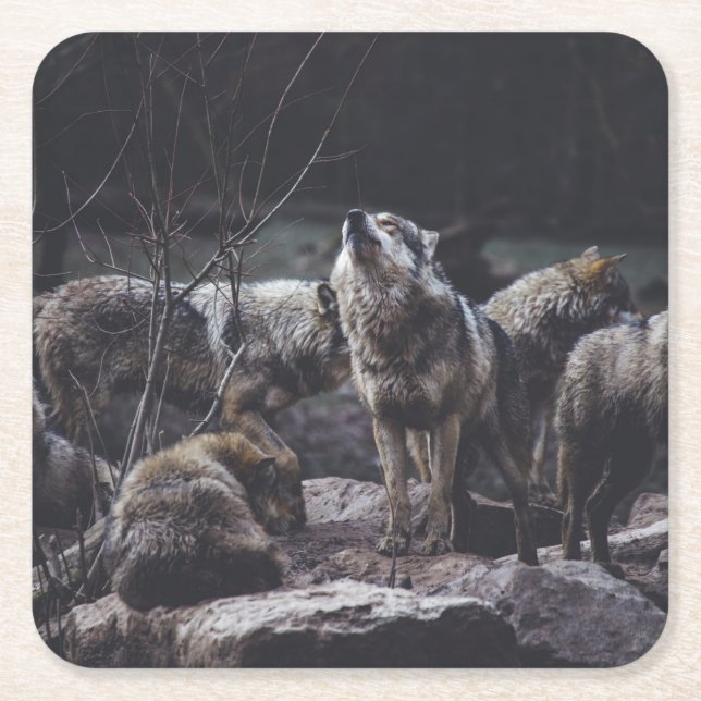 Wolf Pack Square Paper Coaster (Front)