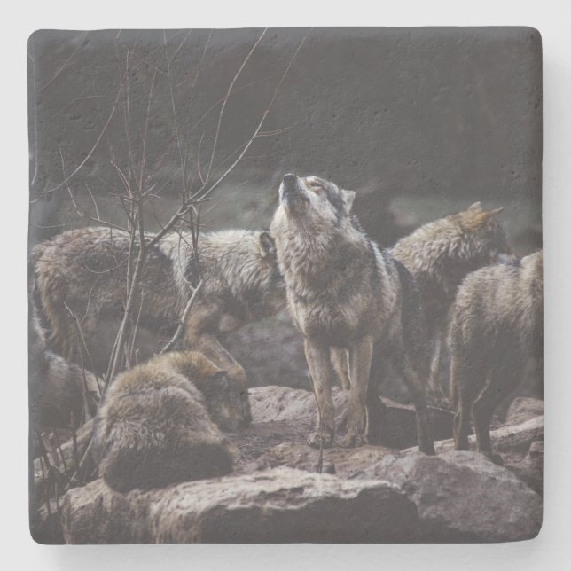 Wolf Pack Stone Coaster (Front)