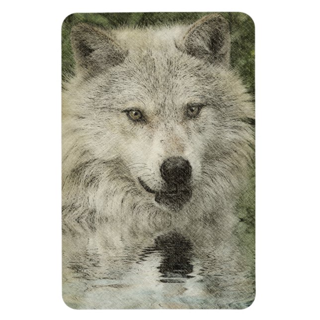 Wolf Pencil Drawing Art Magnet (Vertical)
