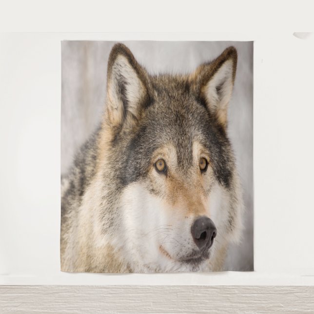 Wolf photo cute animal wildlife  tapestry (Front)