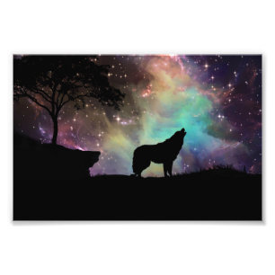 Wolf Photo Print
