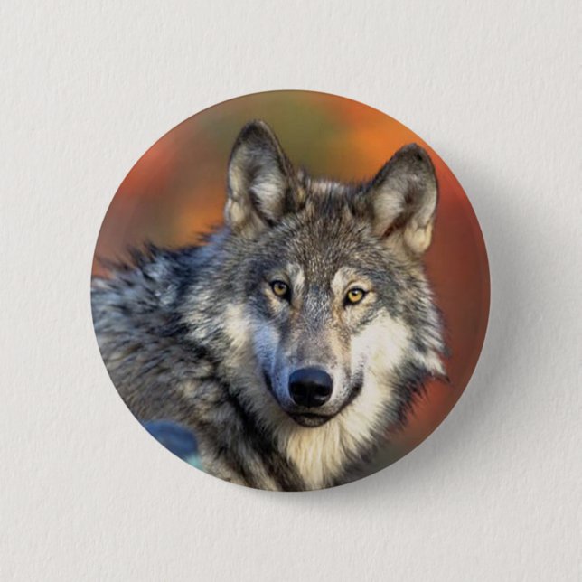 Wolf Photograph 6 Cm Round Badge (Front)