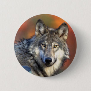 Wolf Photograph 6 Cm Round Badge