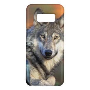 Wolf Photograph Case-Mate Samsung Galaxy S8 Case