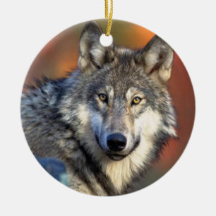 Wolf Photograph Ceramic Tree Decoration