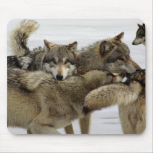 Wolf Pile Mouse Mat