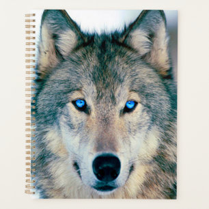 Wolf Planner