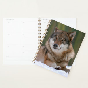 Wolf Planner