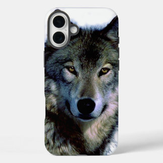Wolf Portrait iPhone 16 Plus Case