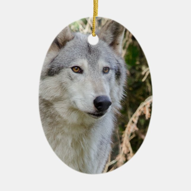 Wolf Portrait Ceramic Tree Decoration (Front)