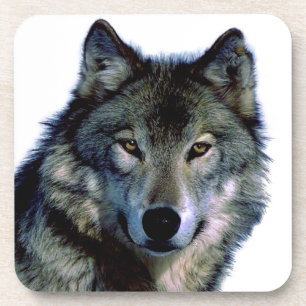 Wolf Portrait Coaster