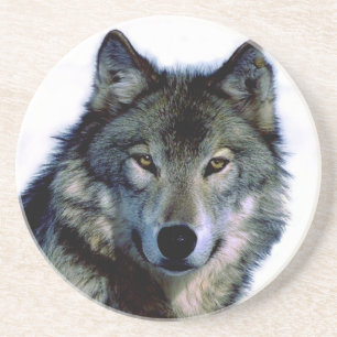 Wolf Portrait Coaster