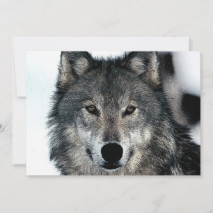 Wolf Portrait Invitation