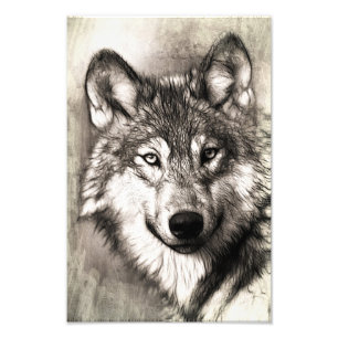 Wolf portrait photo print