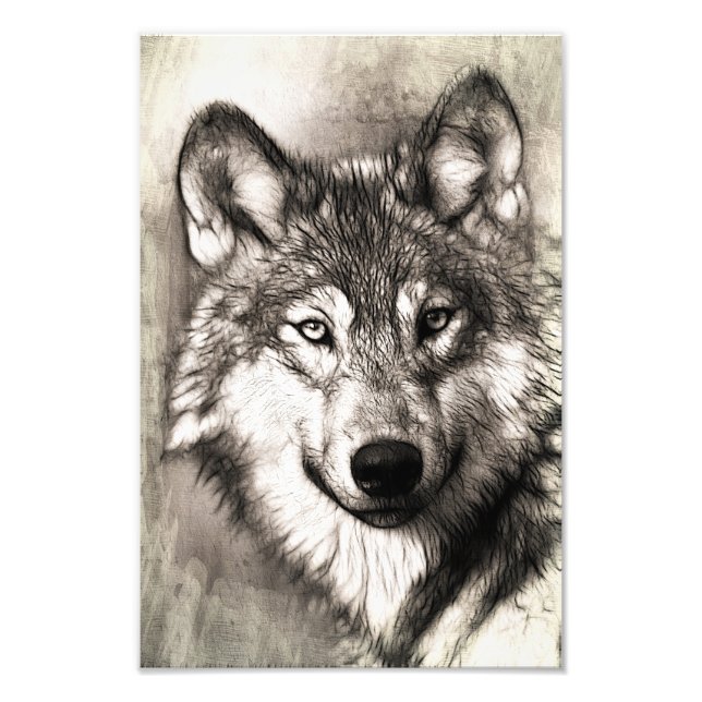 Wolf portrait photo print (Front)