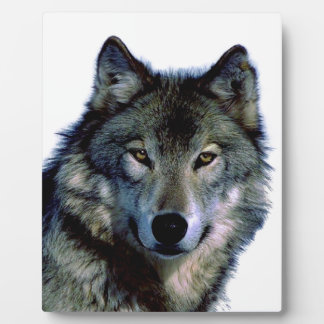 Wolf Portrait Plaque