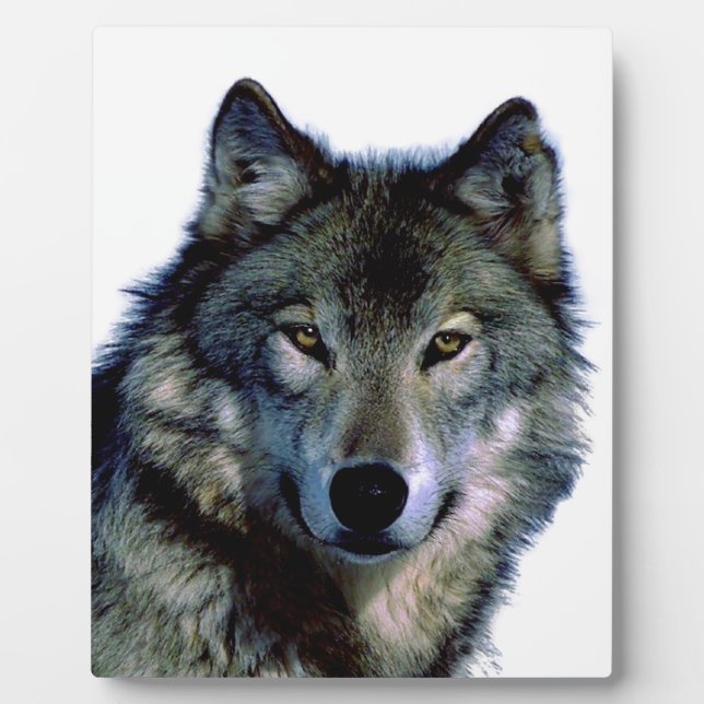 Wolf Portrait Plaque (Front)