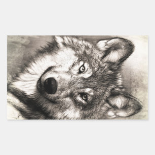 Wolf portrait rectangular sticker