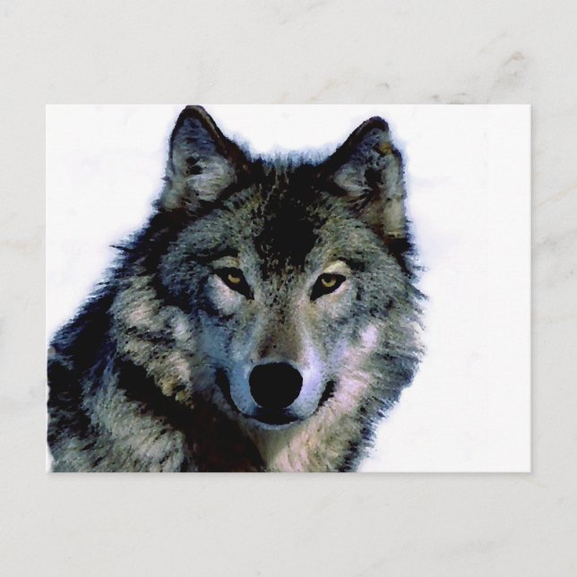 Wolf Postcard (Front)