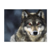 wolf