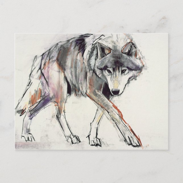 Wolf Postcard (Front)