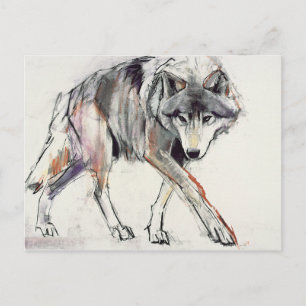 Wolf Postcard