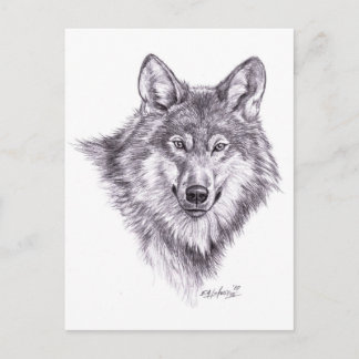 wolf postcard