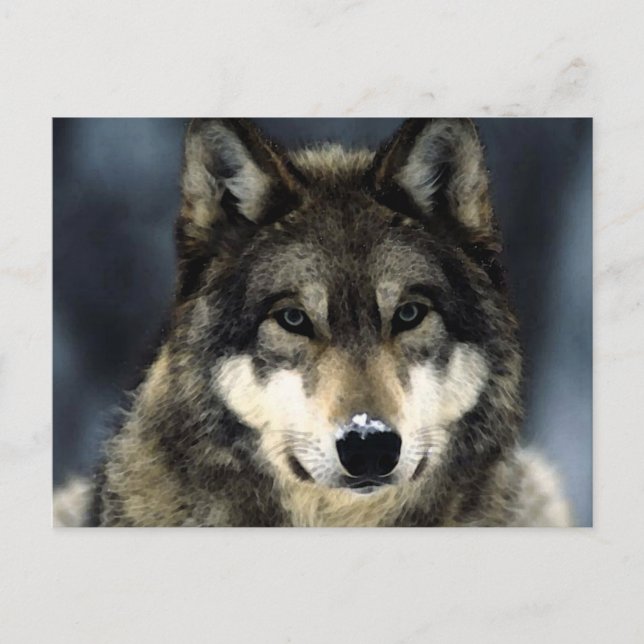 Wolf Postcard (Front)