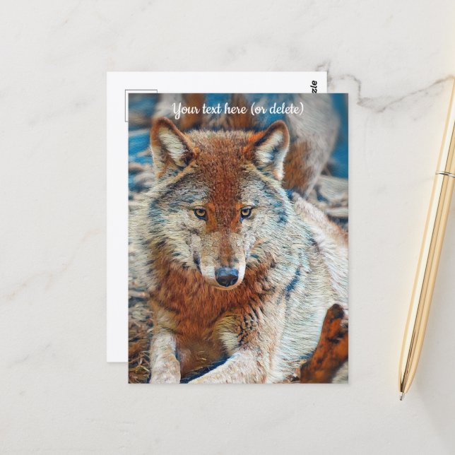 Wolf Postcard (Front/Back In Situ)