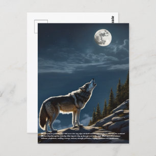 Wolf Postcard