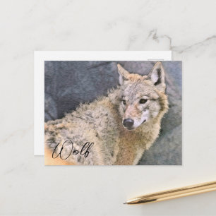 Wolf Postcard