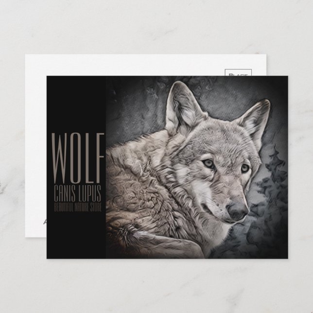 Wolf Postcard (Front/Back)