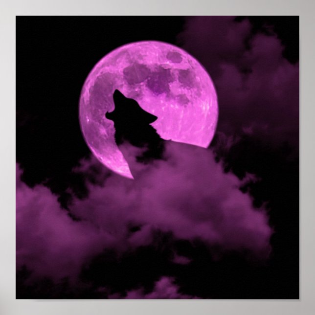 wolf   poster (Front)