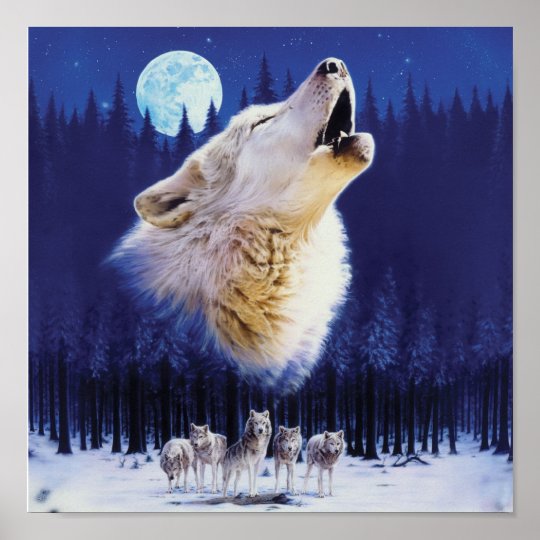 Wolf Poster | Zazzle.co.uk