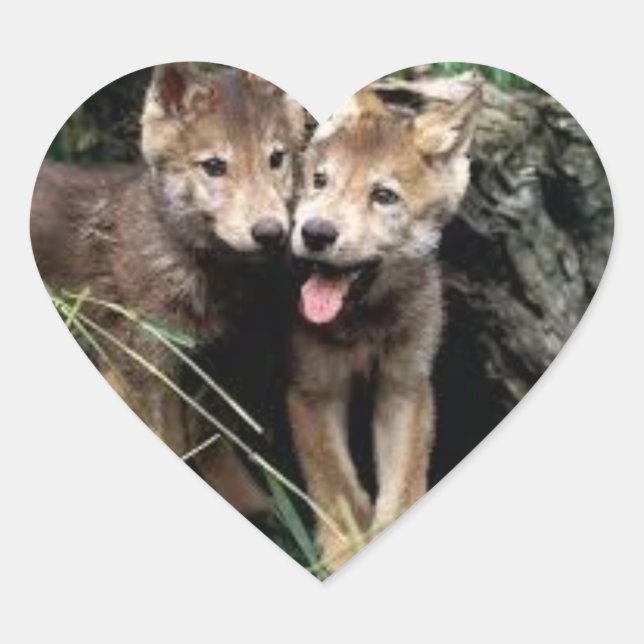 wolf pup stickers (Front)