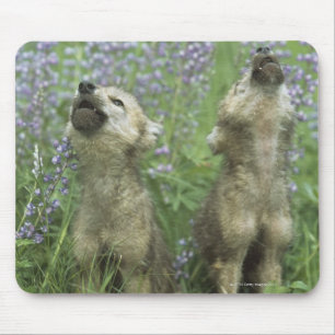 Wolf Puppies Howling In Meadow Mouse Mat