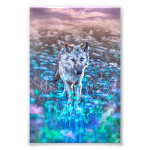 Wolf Puppy LONG MAY YOUR INNOCENCE REIGN Photo Print