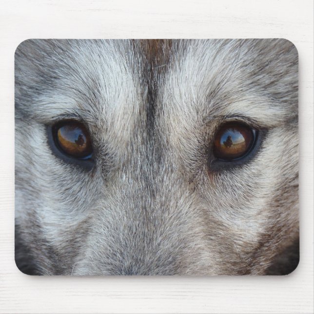 Wolf Puppy Mousepad Gifts Canadian Sled Dogs (Front)