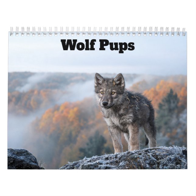 Wolf Pups 2027 Calendar (Cover)