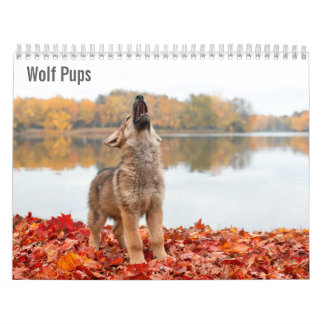 Wolf Pups 2027 Calendar