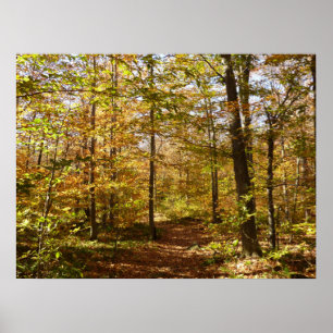 Wolf Rocks Trail in Autumn Pennsylvania Landscape Poster