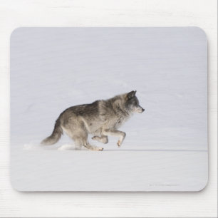 Wolf running in the snow 2 mouse mat