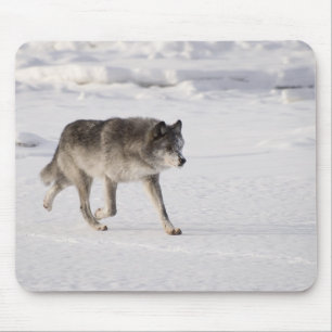 Wolf running in the snow mouse mat