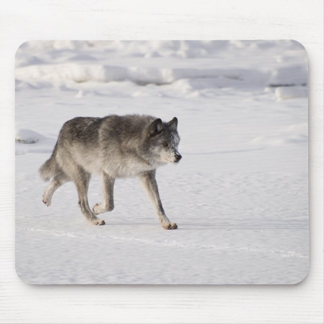 Wolf running in the snow mouse mat (Front)