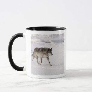 Wolf running in the snow mug
