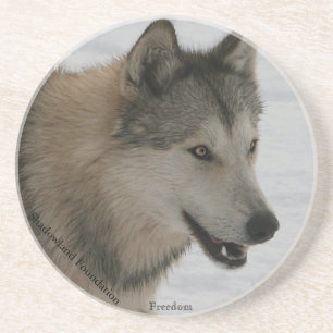 Wolf Sandstone Drink Coasters